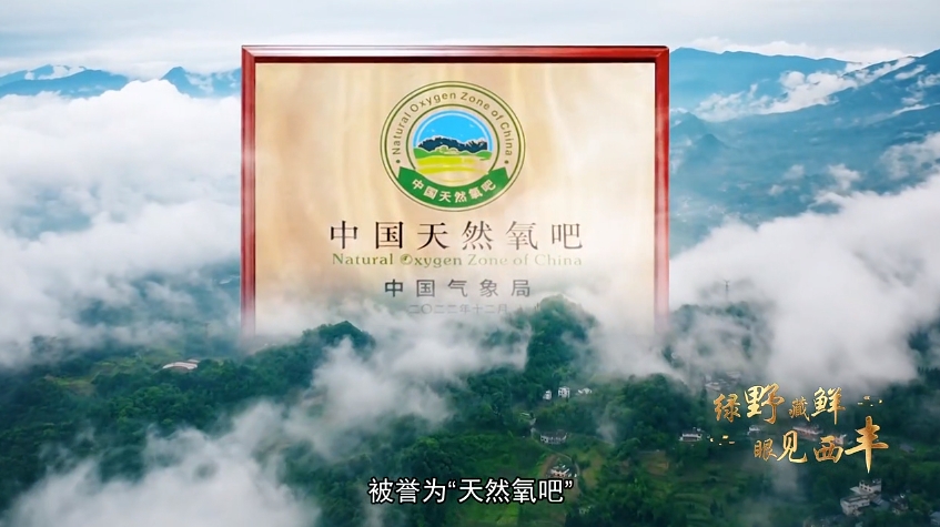 绿野藏鲜 眼见西丰